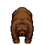 niedźwiedzica
